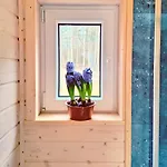 Ostoja Wycinki Letniskowe Ferienhaus