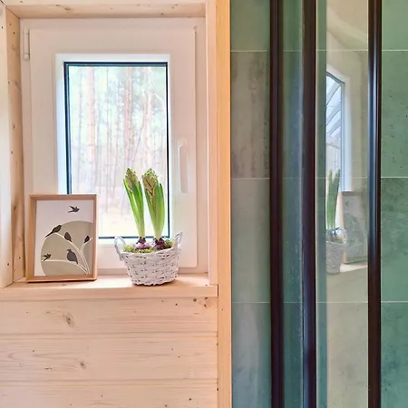 Ostoja Wycinki Letniskowe