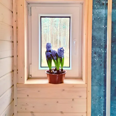 Ostoja Wycinki Letniskowe Ferienhaus