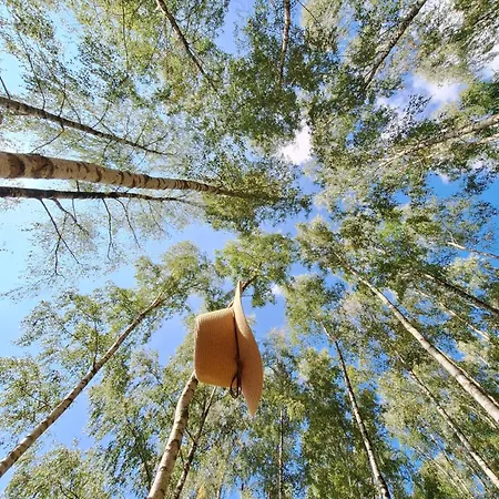 Ferienhaus Ostoja Wycinki Letniskowe Jaszczerz