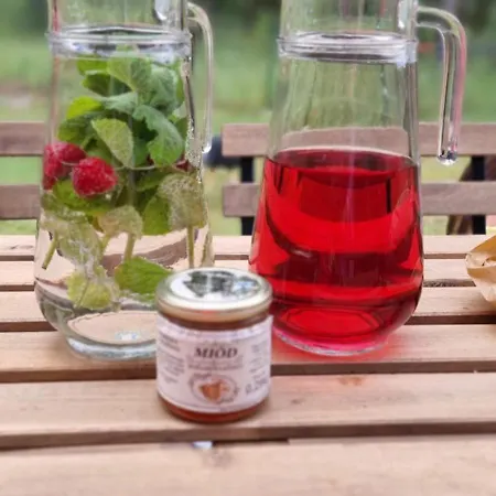 Сasa de vacaciones Ostoja Wycinki Letniskowe *