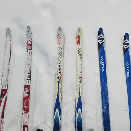 Ostoja Wycinki Letniskowe