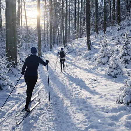Ostoja Wycinki Letniskowe *