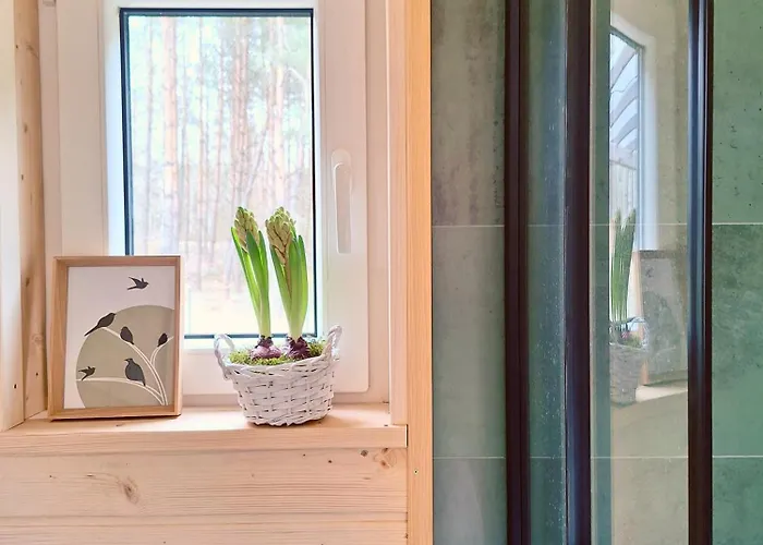 Ostoja Wycinki Letniskowe