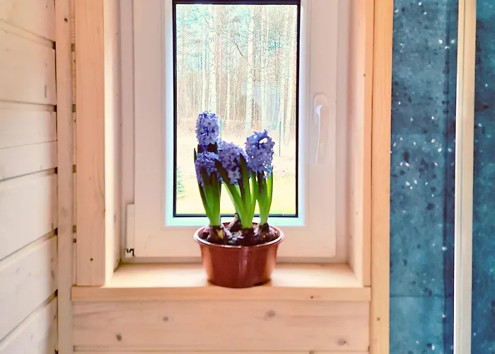 Ostoja Wycinki Letniskowe Prázdninový dům