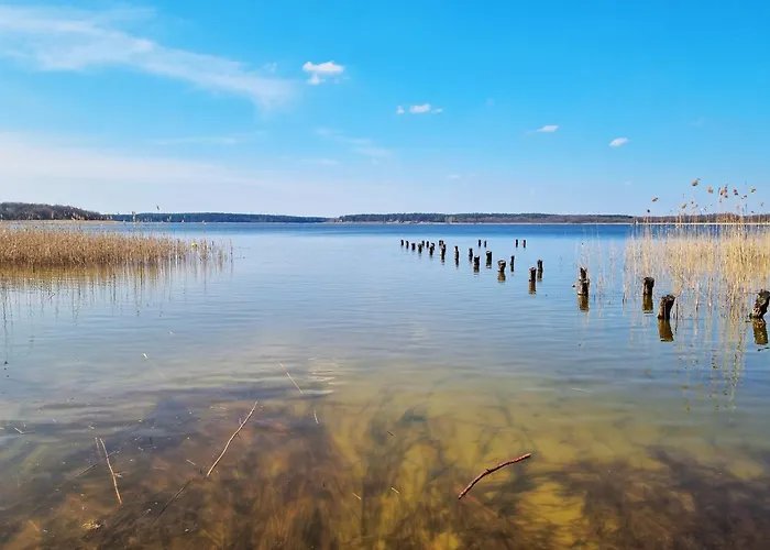 Ostoja Wycinki Letniskowe * Jaszczerz