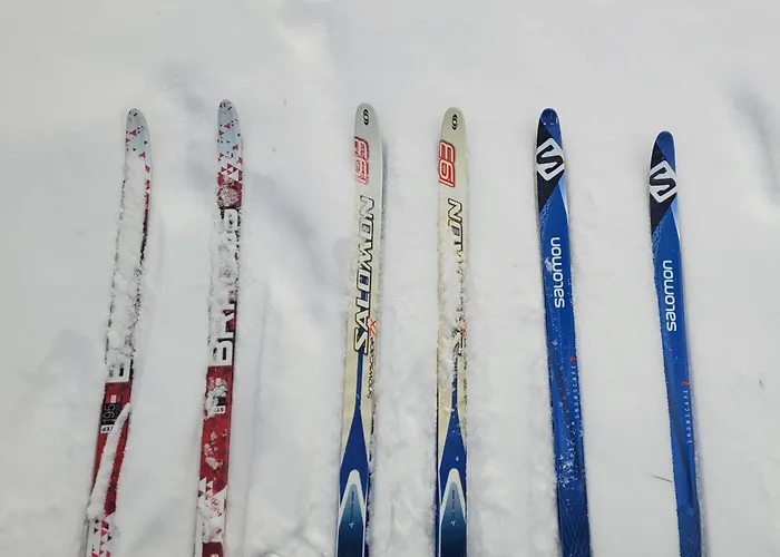 Ostoja Wycinki Letniskowe